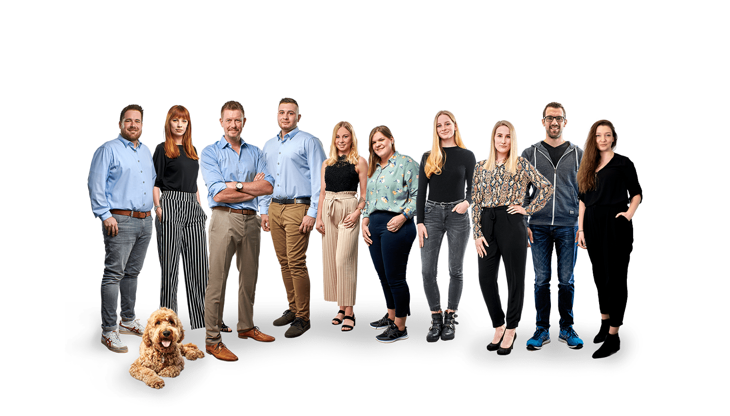 team bandf