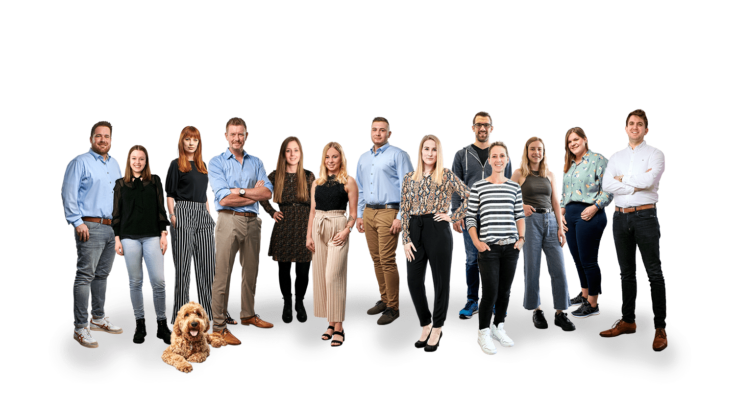team bandf