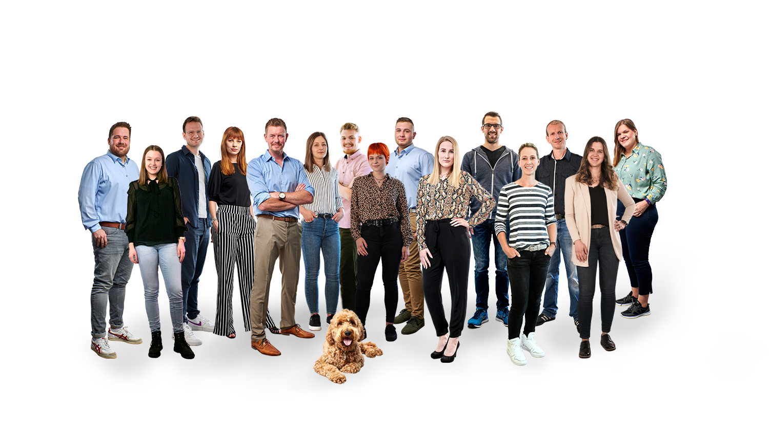 team bandf