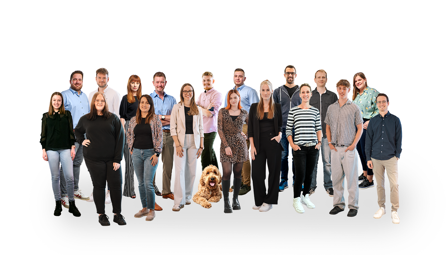 team bandf
