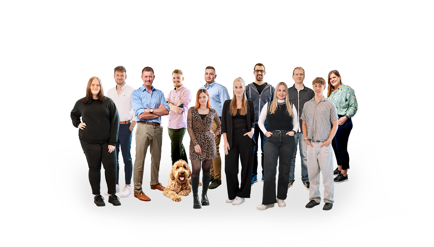 team bandf