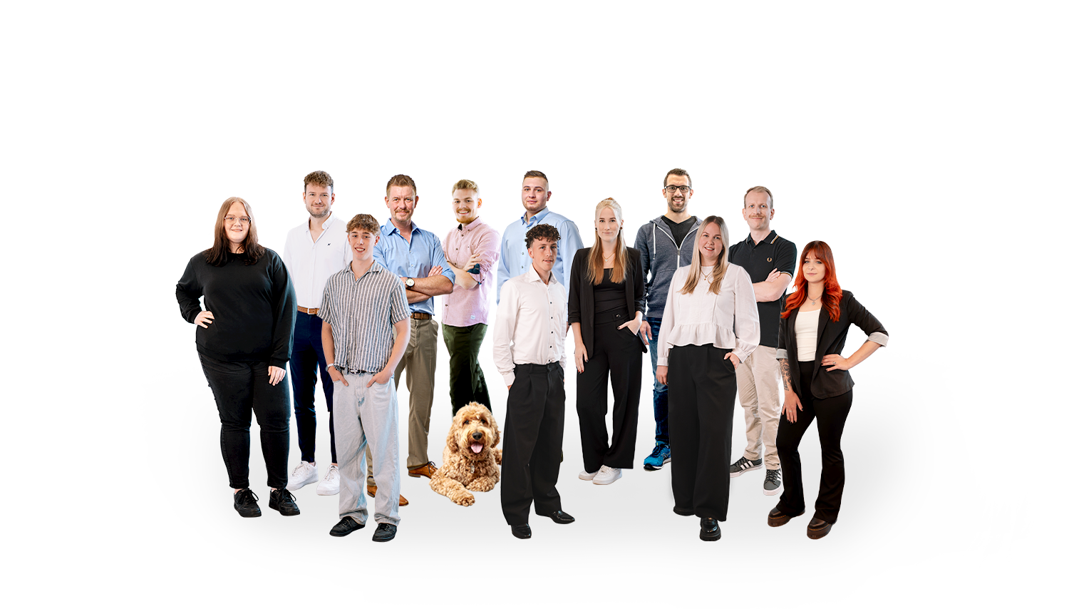 team bandf